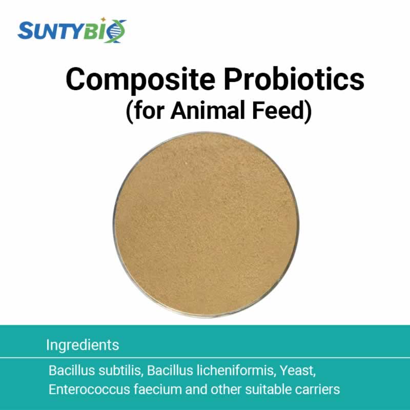 Bactéries composées pour l'alimentation animale