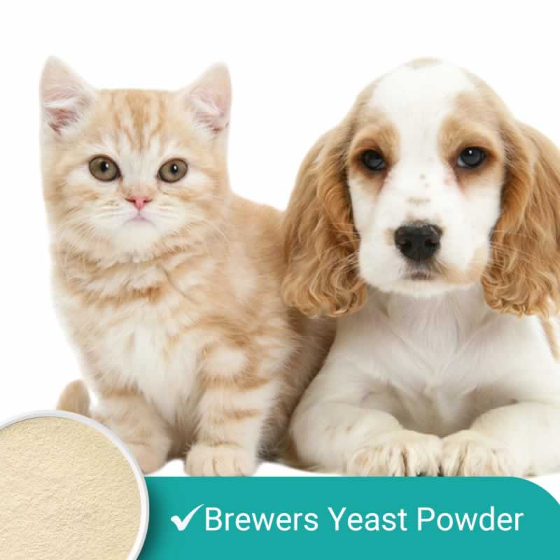 Levure de bière pour animaux de compagnie