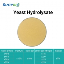 Hydrolysat de levure